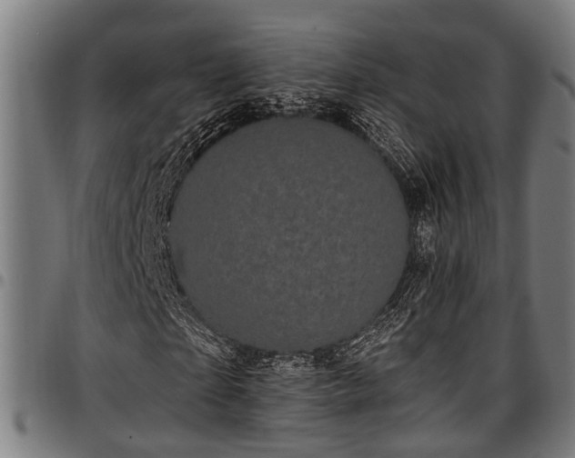 X0000097470865200802291308