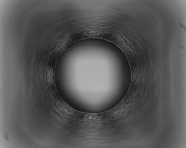 X0000097470866200802291308