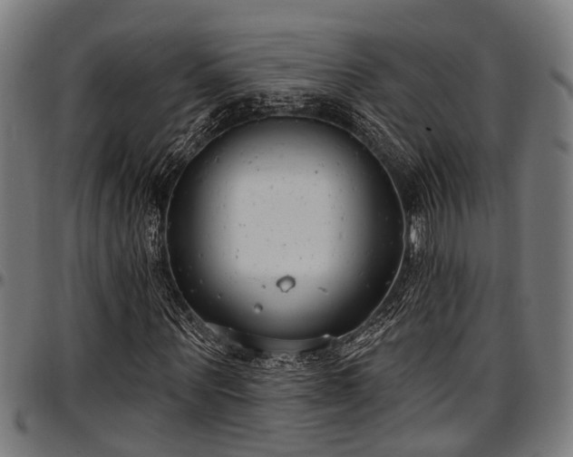 X0000097470867200802291308
