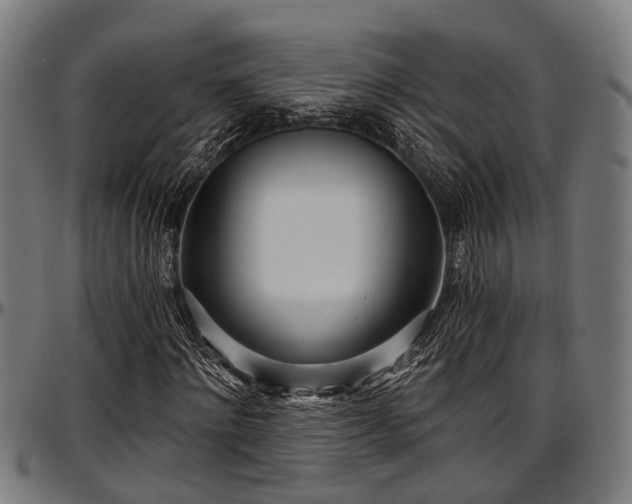 X0000097470868200802291308