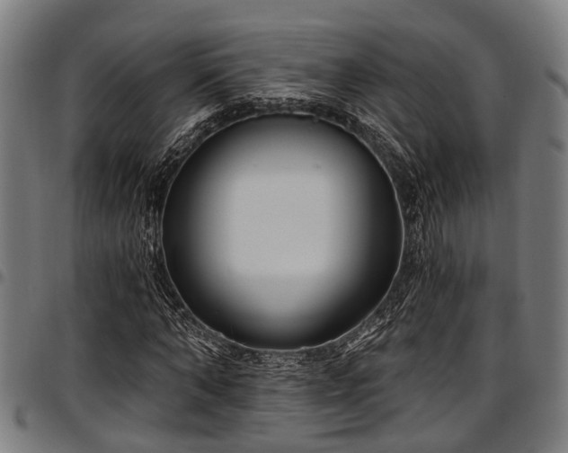 X0000097470870200802291308