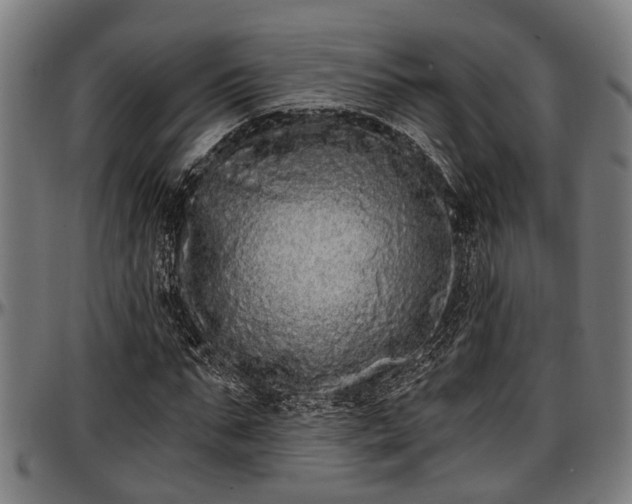 X0000097470871200802291308