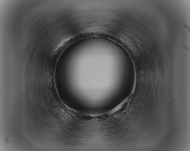 X0000097470872200802291308