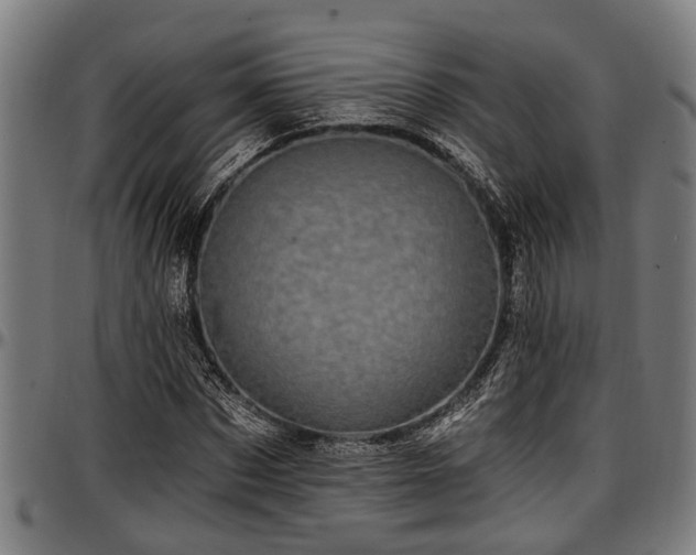 X0000097470873200802291308