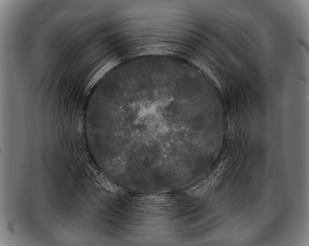X0000097470874200802291308