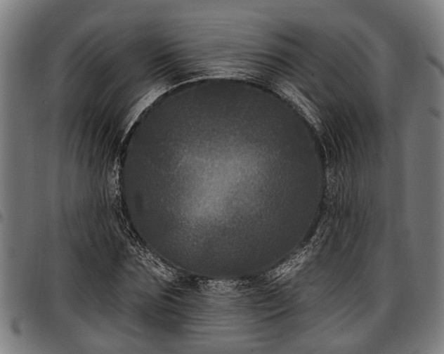 X0000097470875200802291308