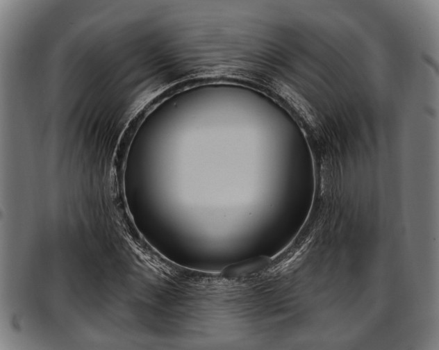 X0000097470876200802291308
