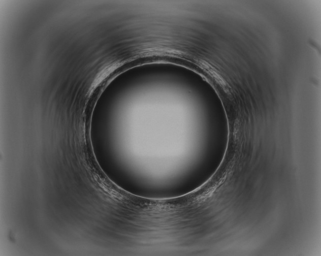 X0000097470877200802291308