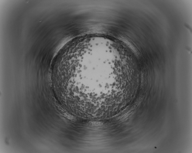 X0000097470878200802291308