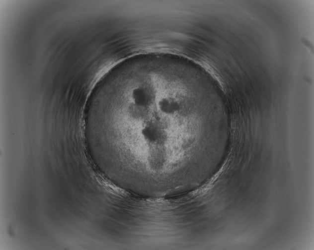 X0000097470879200802291308