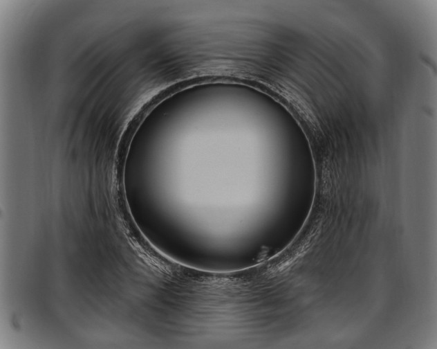 X0000097470880200802291308