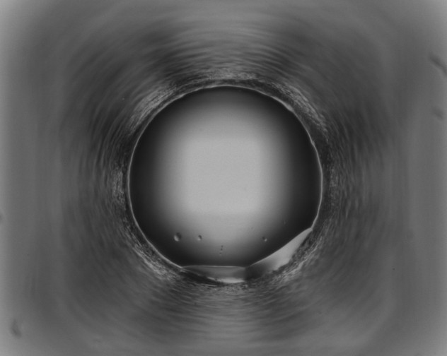 X0000097470881200802291308