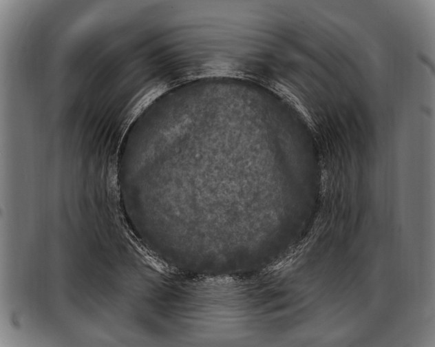 X0000097470882200802291308