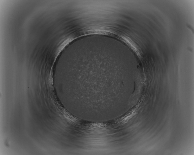 X0000097470883200802291308