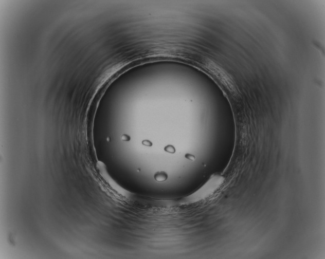 X0000097470884200802291308