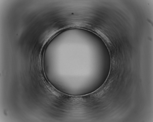 X0000097470886200802291308