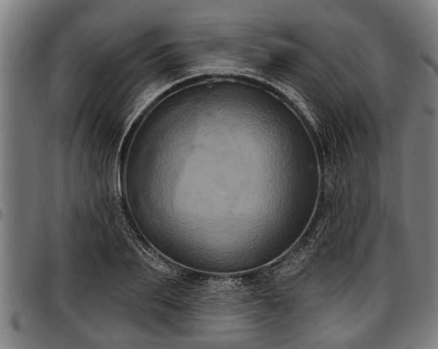 X0000097470887200802291308