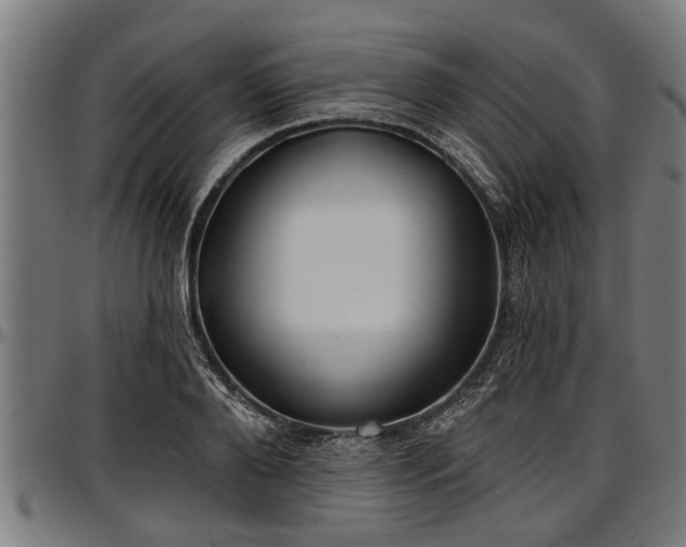 X0000097470888200802291308
