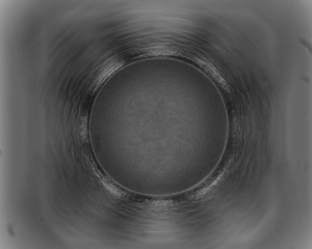 X0000097470889200802291308
