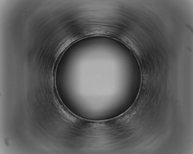 X0000097470890200802291308