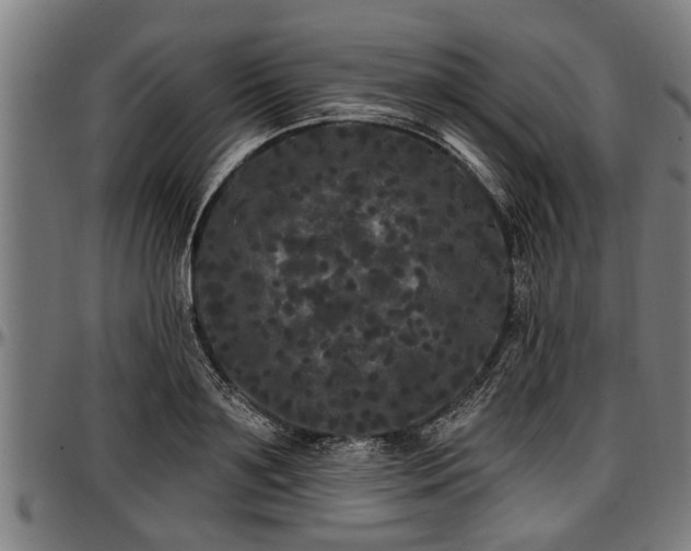 X0000097470891200802291308