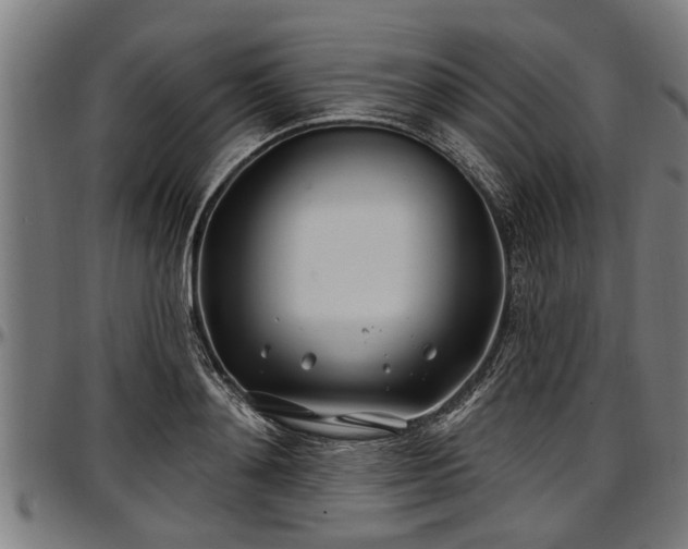 X0000097470892200802291308