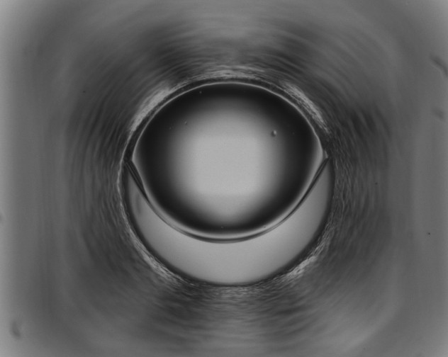 X0000097470893200802291308