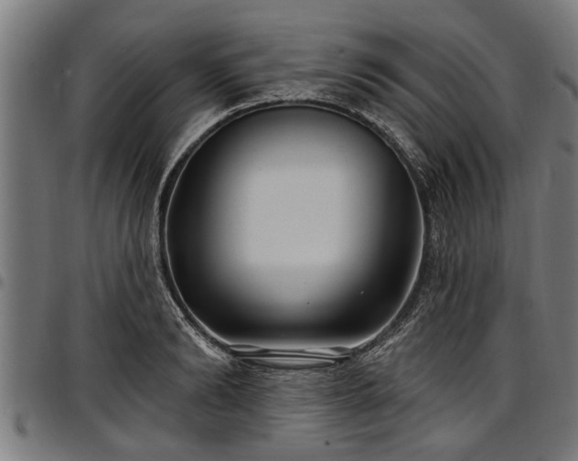 X0000097470894200802291308