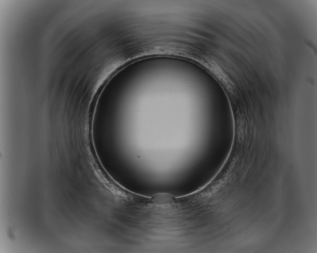 X0000097470896200802291308