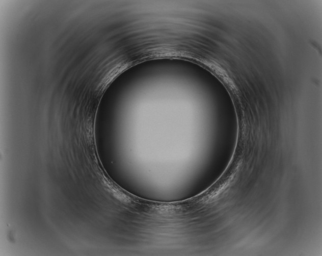 X0000097470897200802291308