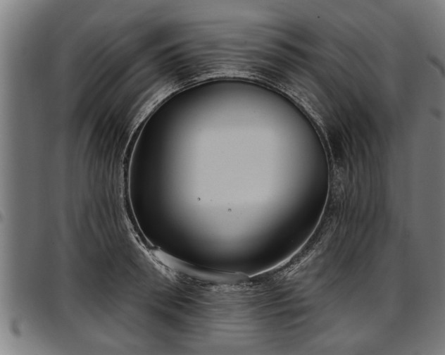 X0000097470898200802291308