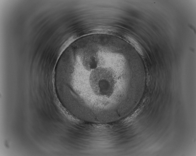 X0000097470899200802291308