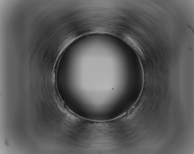 X0000097470900200802291308