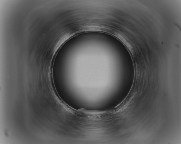 X0000097470901200802291308