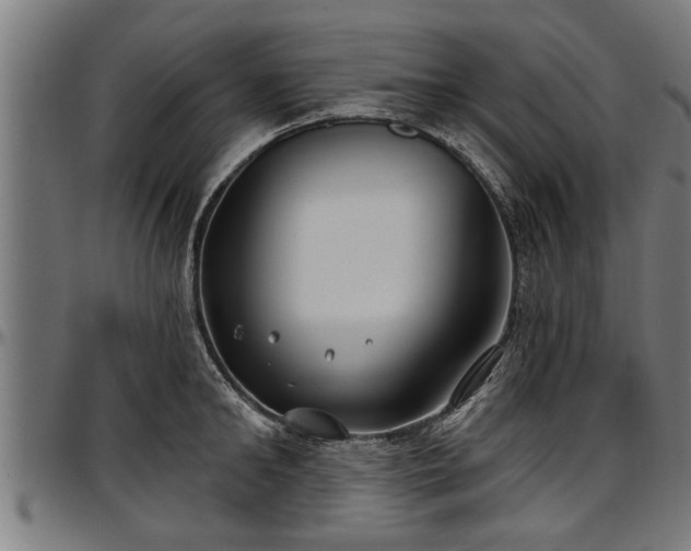 X0000097470902200802291308