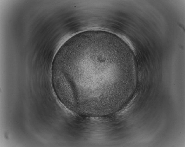 X0000097470903200802291308