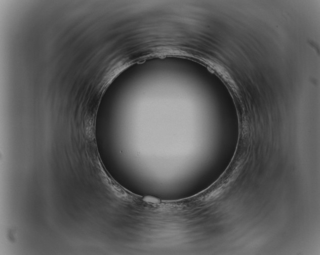 X0000097470905200802291308