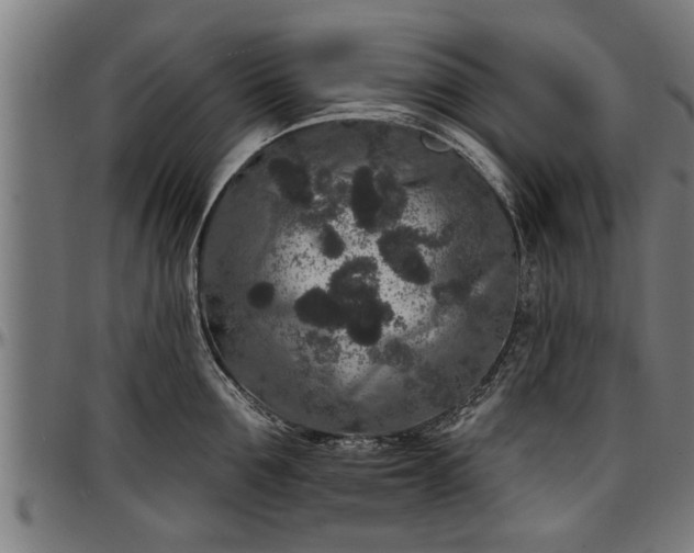X0000097470907200802291308