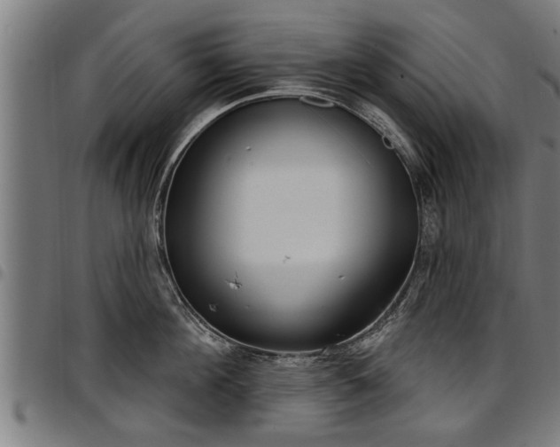 X0000097470908200802291308