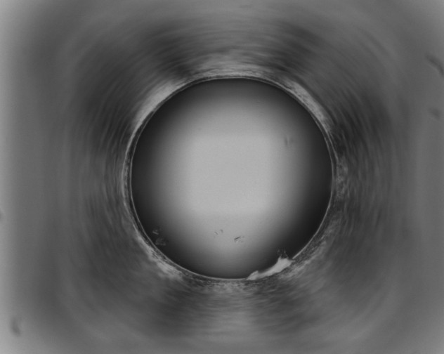 X0000097470909200802291308