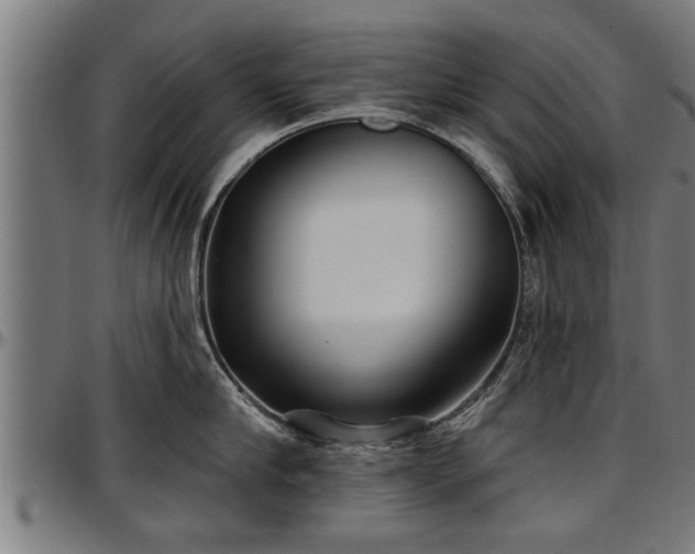 X0000097470910200802291308