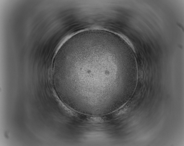 X0000097470911200802291308