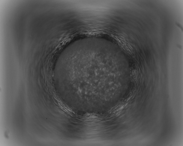 X0000097470913200802291307