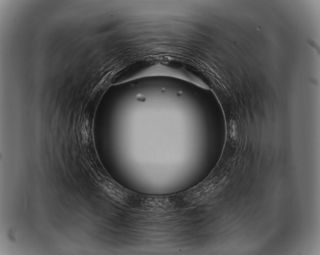 X0000097470915200802291307