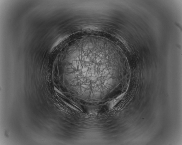 X0000097470919200802291307