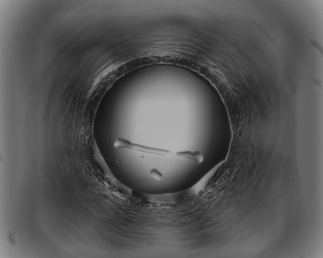 X0000097470920200802291307