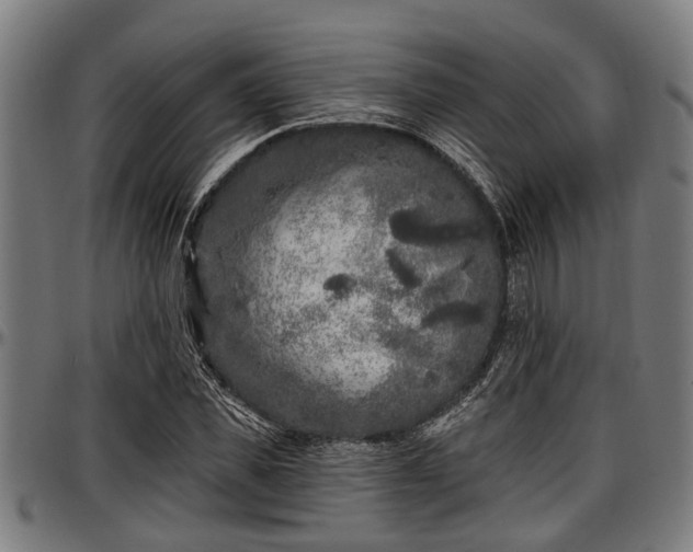 X0000097470925200802291307