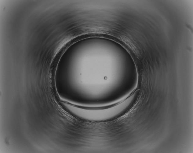 X0000097470926200802291307