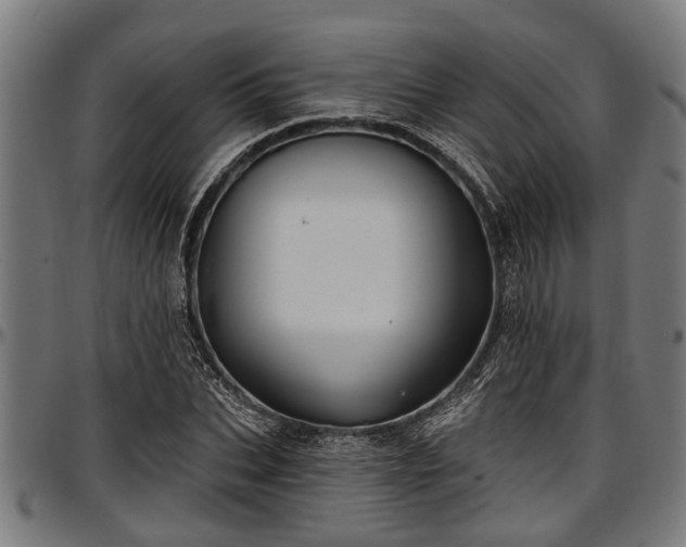 X0000097470927200802291307