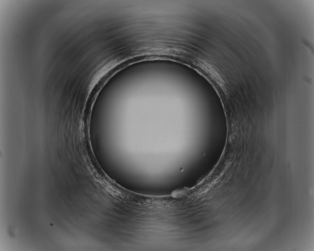 X0000097470928200802291307